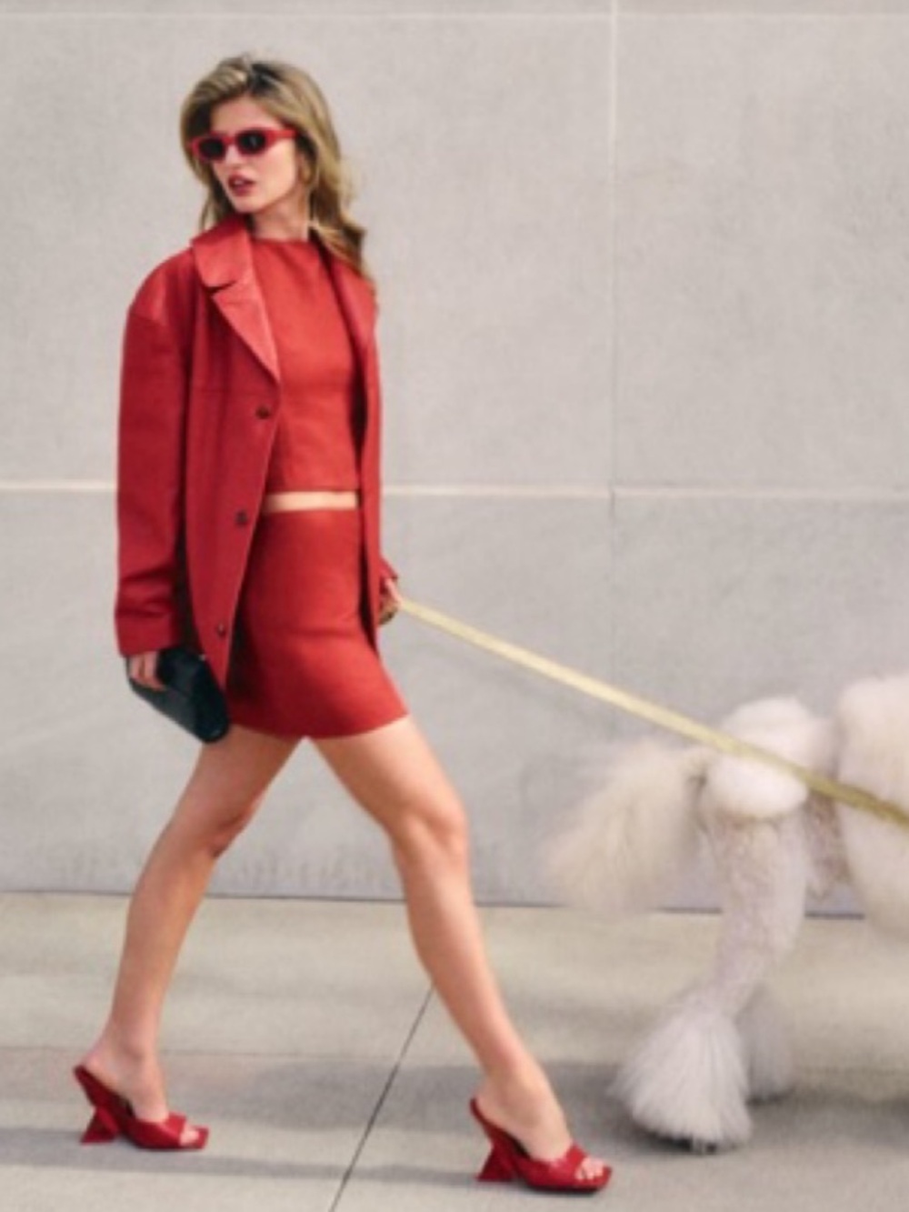 Reformation Red Two-Piece Crop Top and Mini Skirt Set - Picture 6 of 14